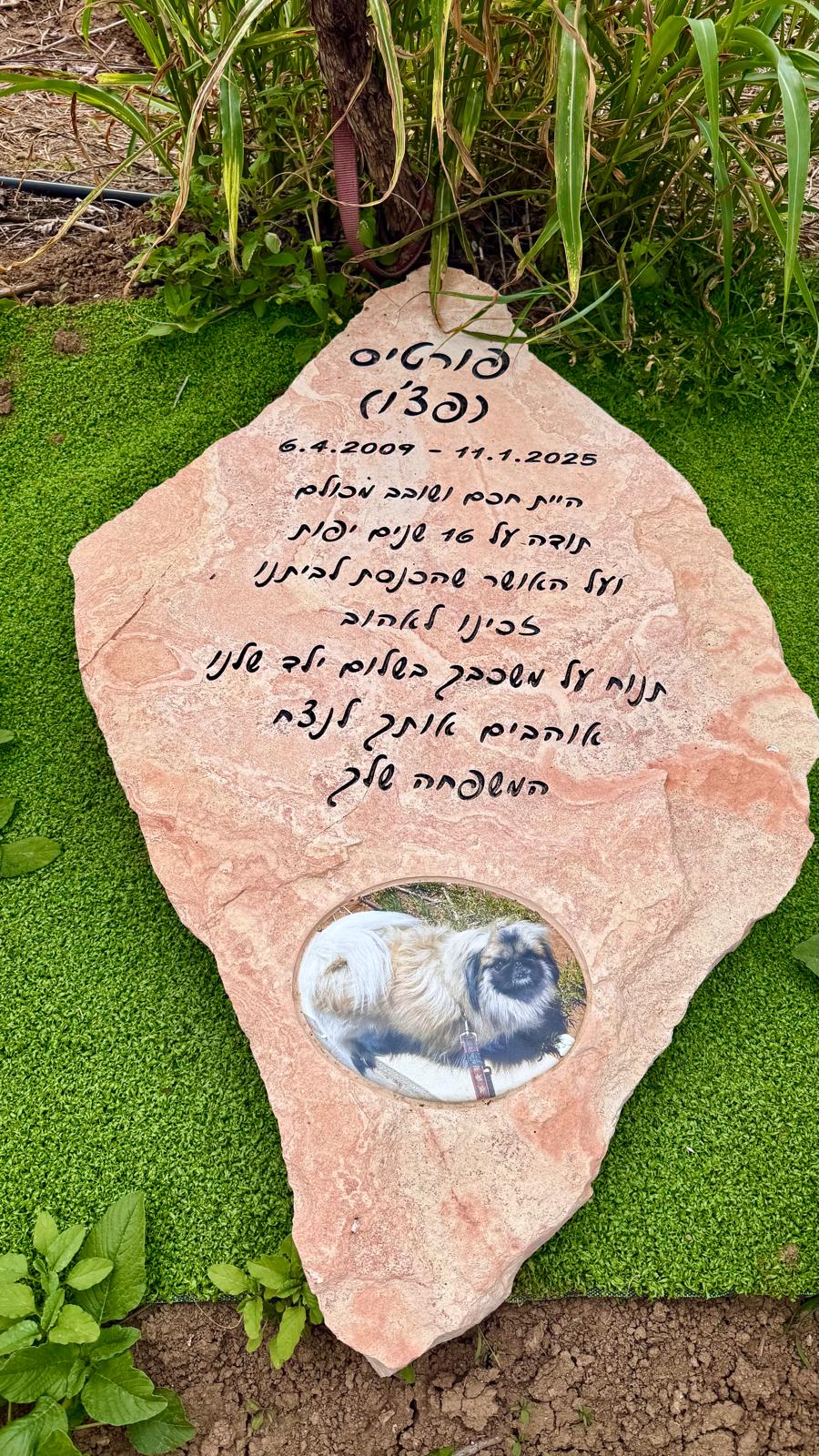 מצבה לכלב חיית מחמד