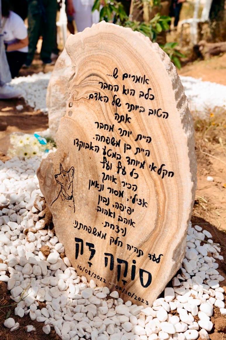 מצבות יפות לכלב