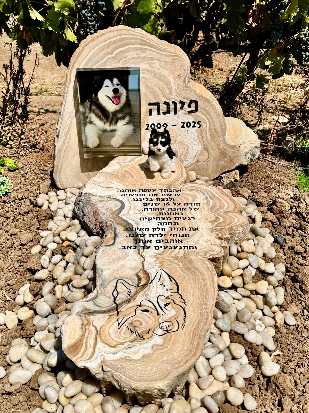 מצבה לכלב קבר לחתול בית קברות לחיות מחמד