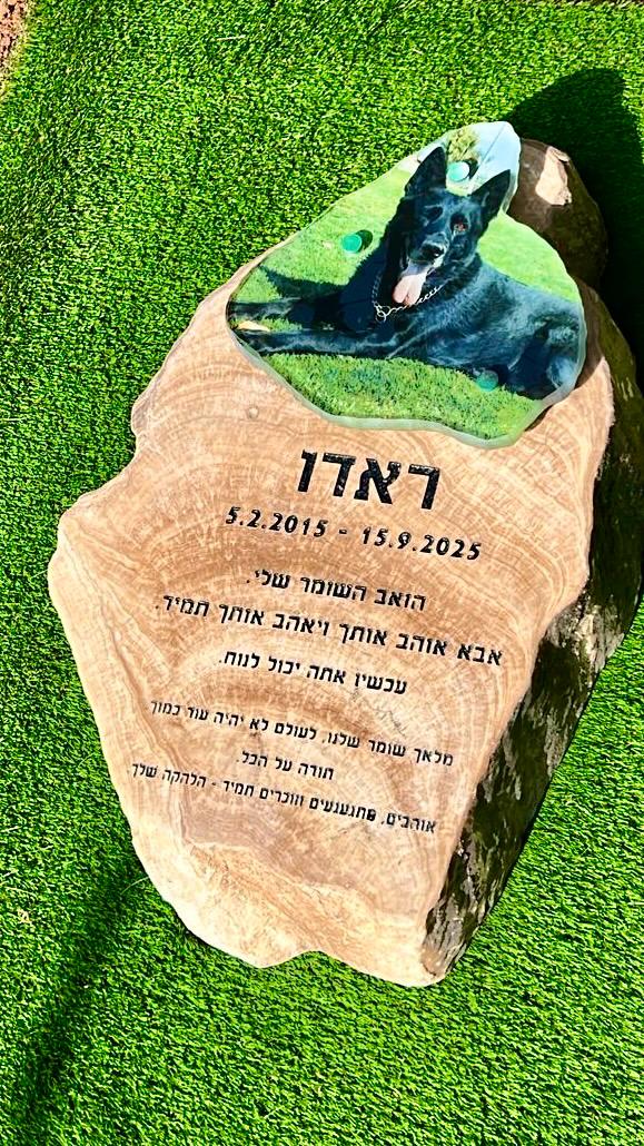 graves for dog graveyard for pets