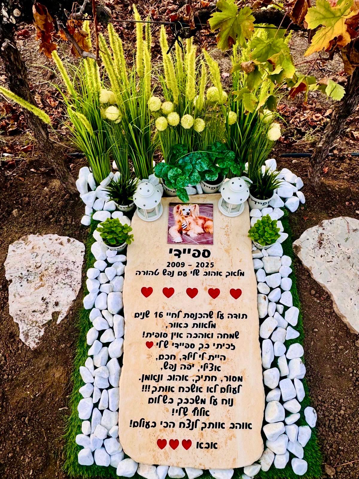 מצבה יפה לחיית מחמד dog gravestone