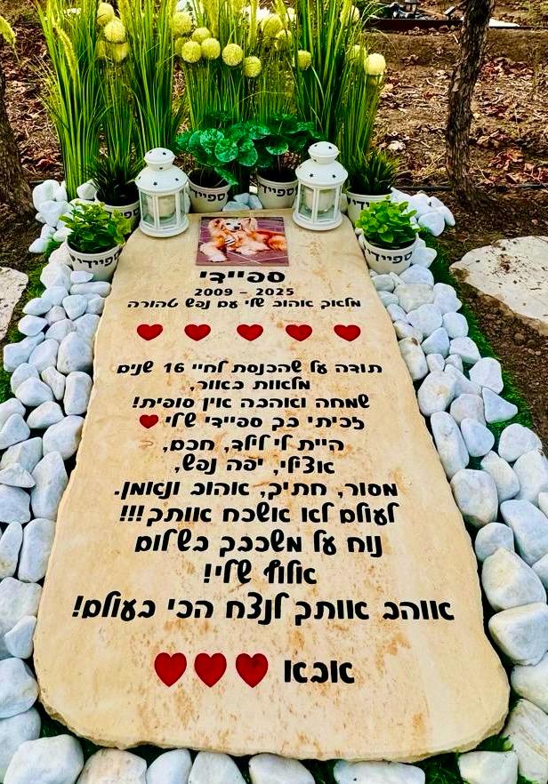 מצבה מאבן לכלב בית קברות לחיות מחמד